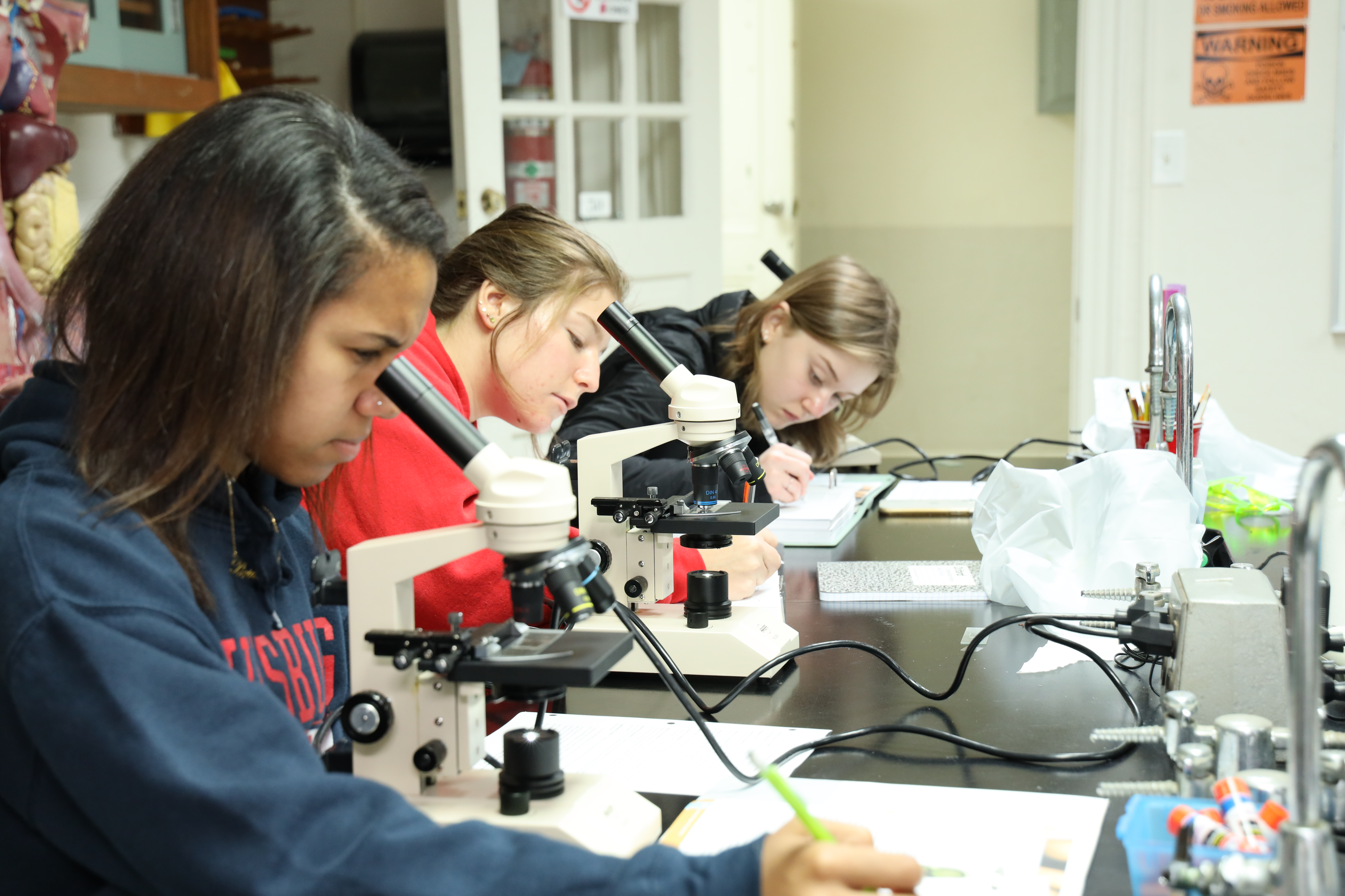 Students working in a biology lab.