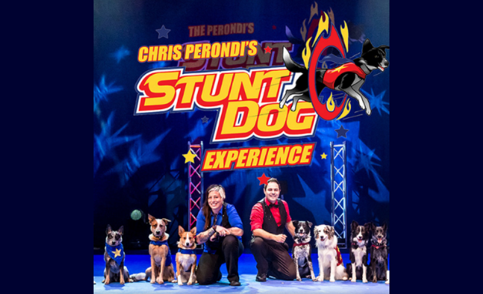 Perondi's Stunt Dogs